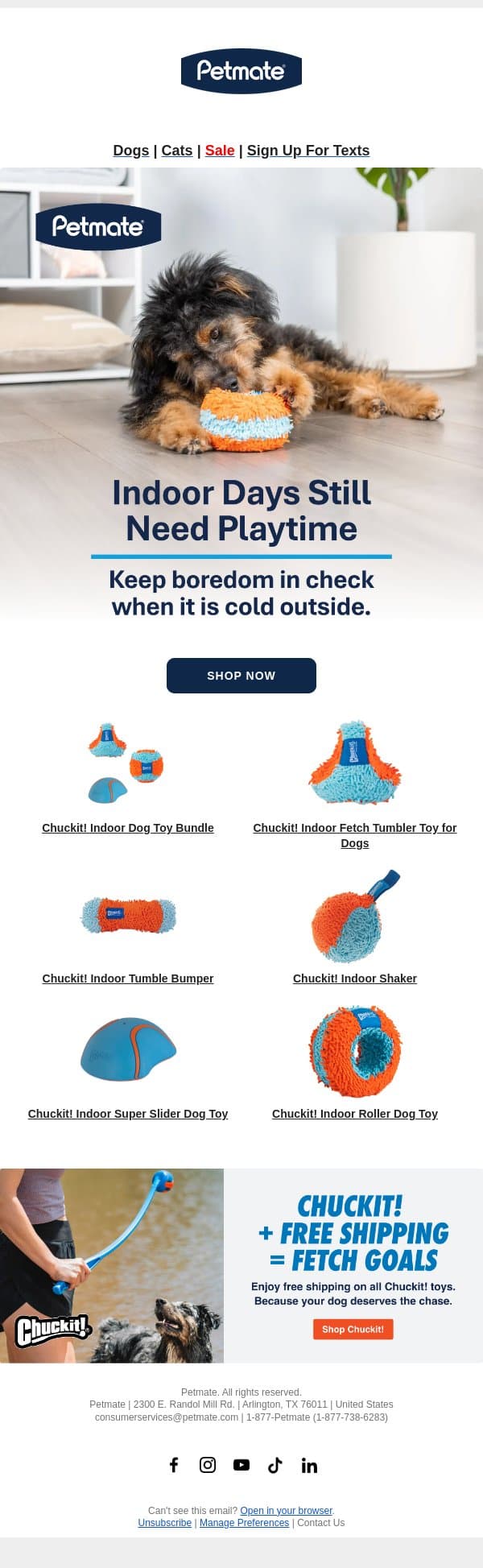 Keep Your Pet Active Indoors This Winter email from Petmate screenshot
