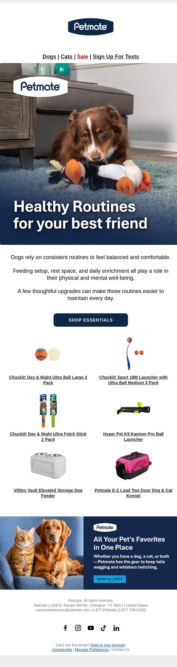 Paw-sitive Resolutions for a Happier Dog email from Petmate screenshot