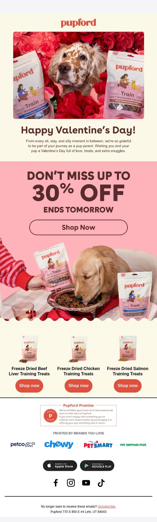 A little Valentine for your pup. email from Pupford screenshot