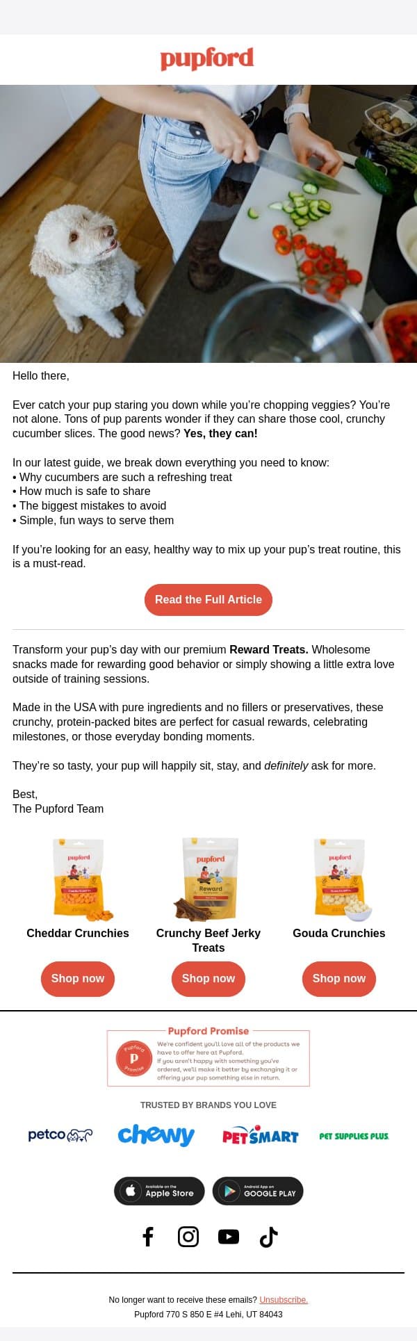 Can your dog crunch on cucumbers? email from Pupford screenshot
