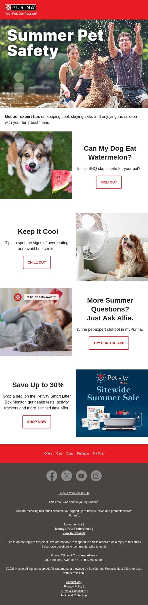 Can your pet eat watermelon? 🍉 email from Purina screenshot