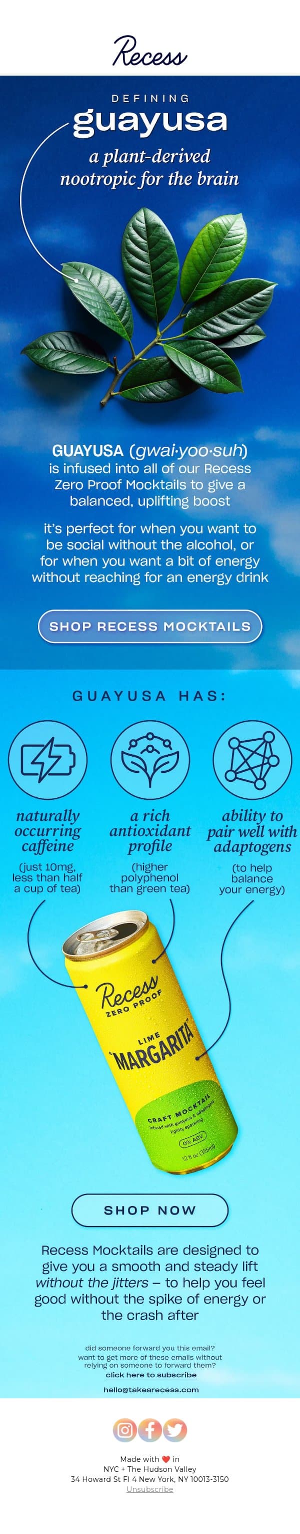 what is guayusa? 🌱 email from Recess screenshot