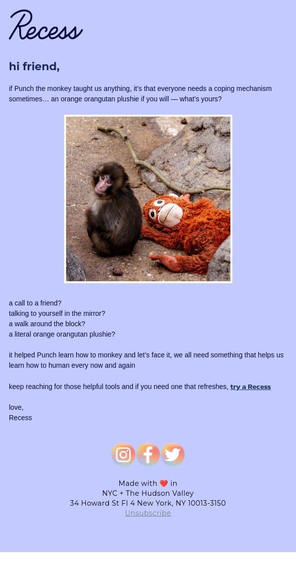 we 🧡 Punch the monkey email from Recess screenshot