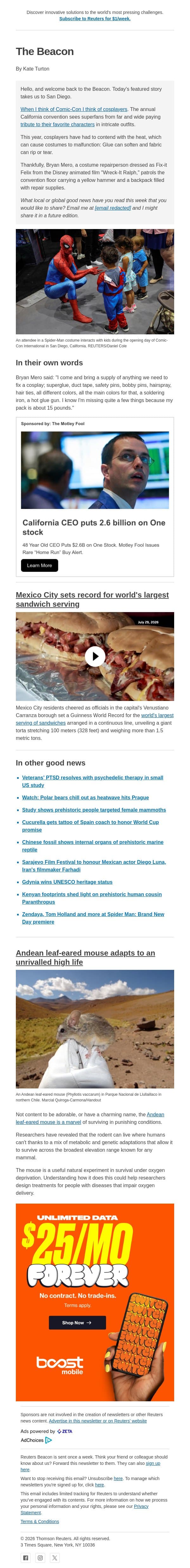 Comic-Con cosplayers brave heat email from Reuters screenshot