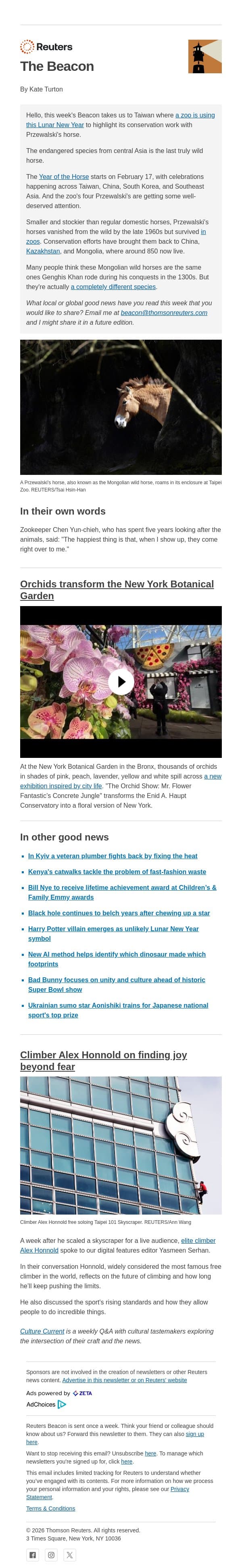Some of the pretty horses email from Reuters screenshot