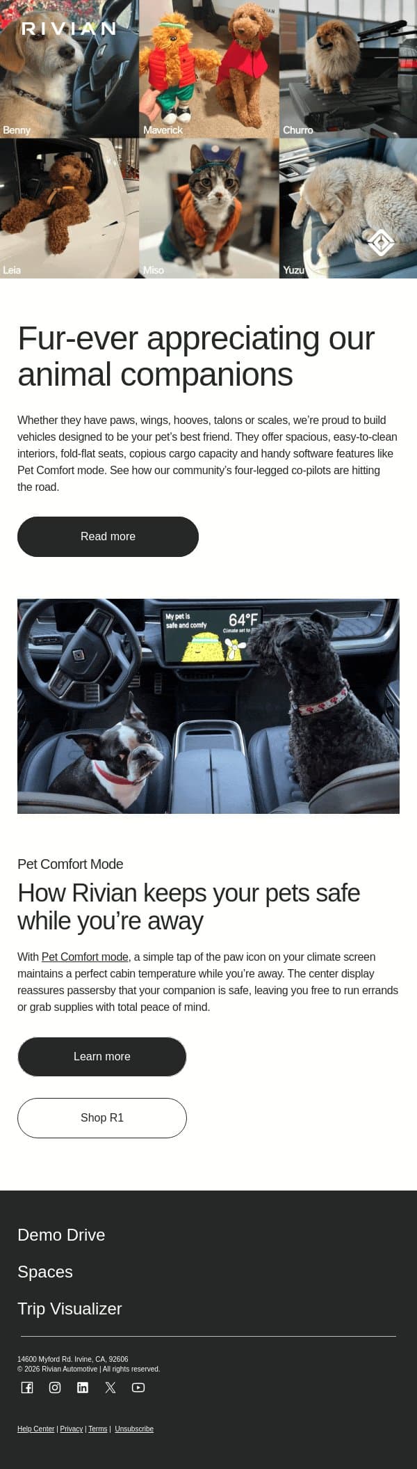 Celebrating our furry co-pilots 🐾 email from Rivian screenshot