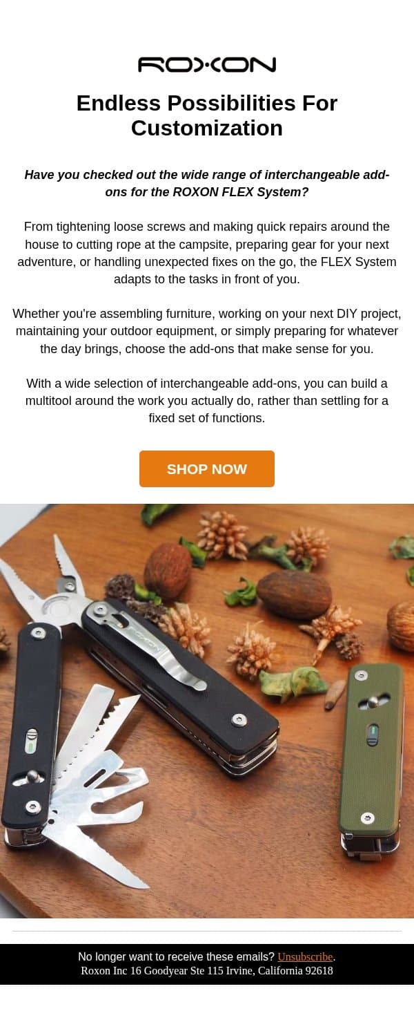 Discover More Add-Ons for Your FLEX System email from ROXON screenshot