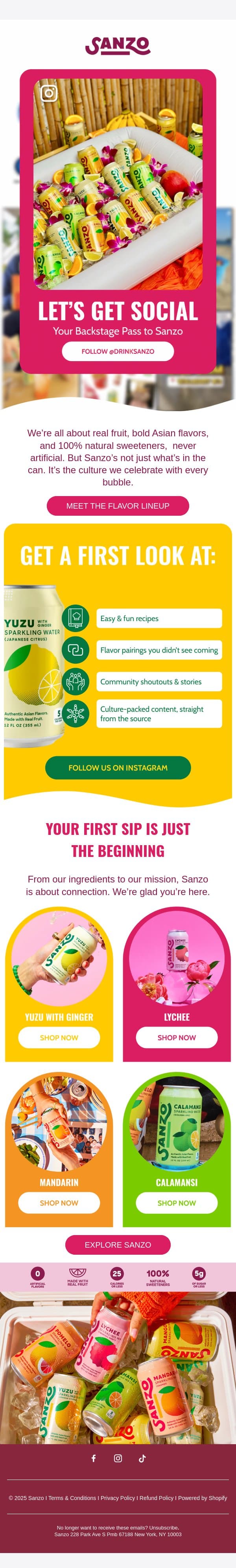 Recipes, Culture & Flavor, Join Us on Instagram! email from Sanzo screenshot
