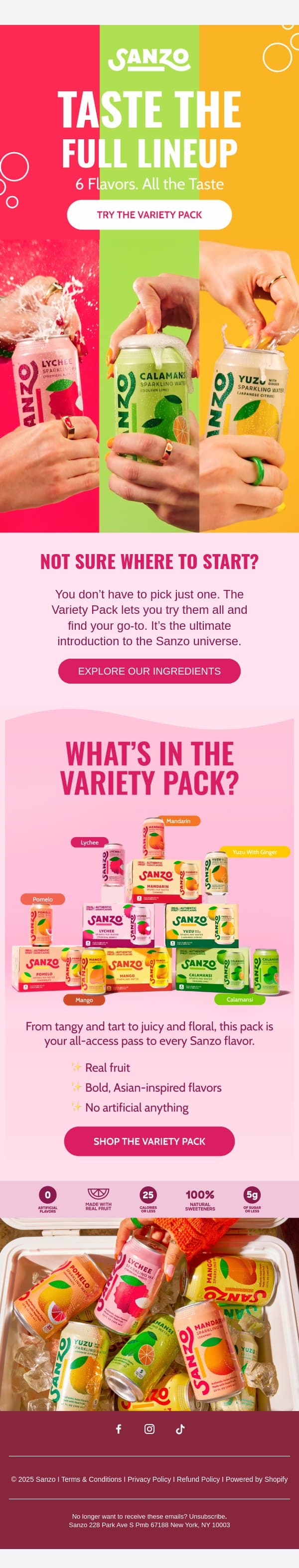Discover Your Favorite Flavor email from Sanzo screenshot