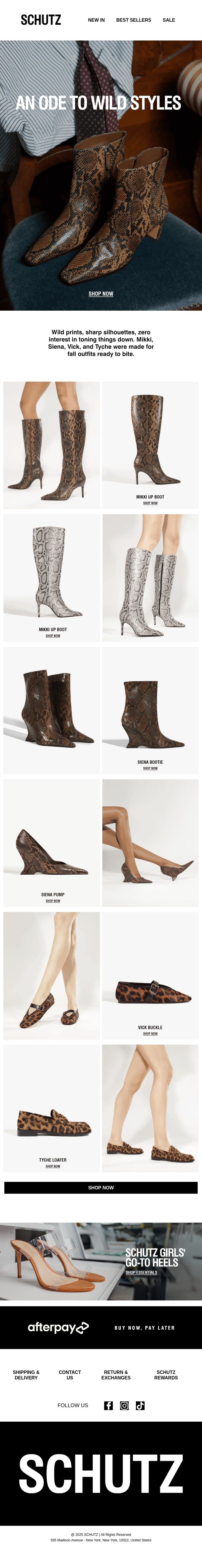An Ode To Wild Styles email from Schutz screenshot