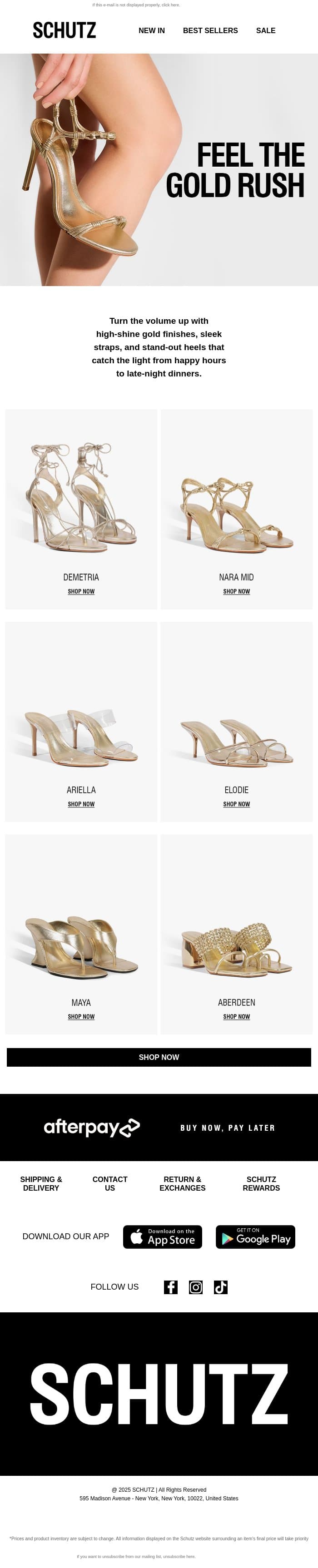 Feel The Gold Rush email from Schutz screenshot