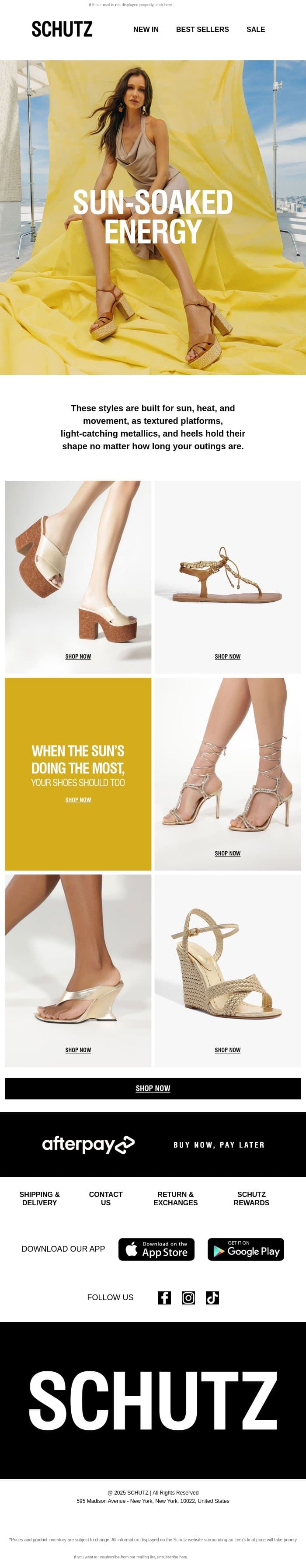 Sun-Soaked Energy email from Schutz screenshot