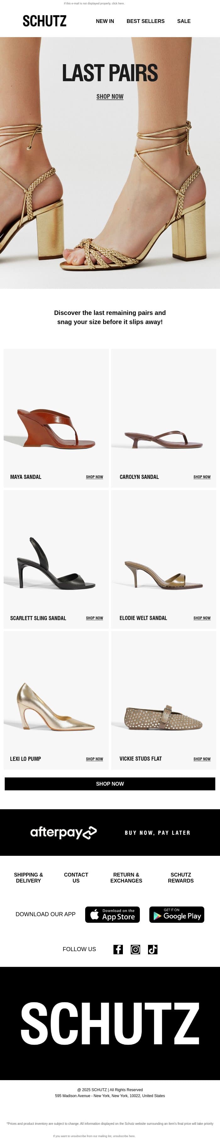 Final Pairs, Final Chance email from Schutz screenshot