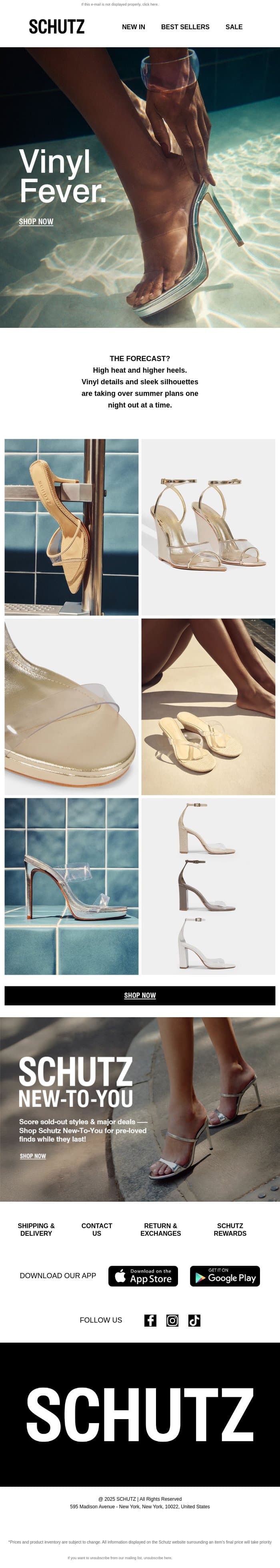 Vinyl Fever email from Schutz screenshot