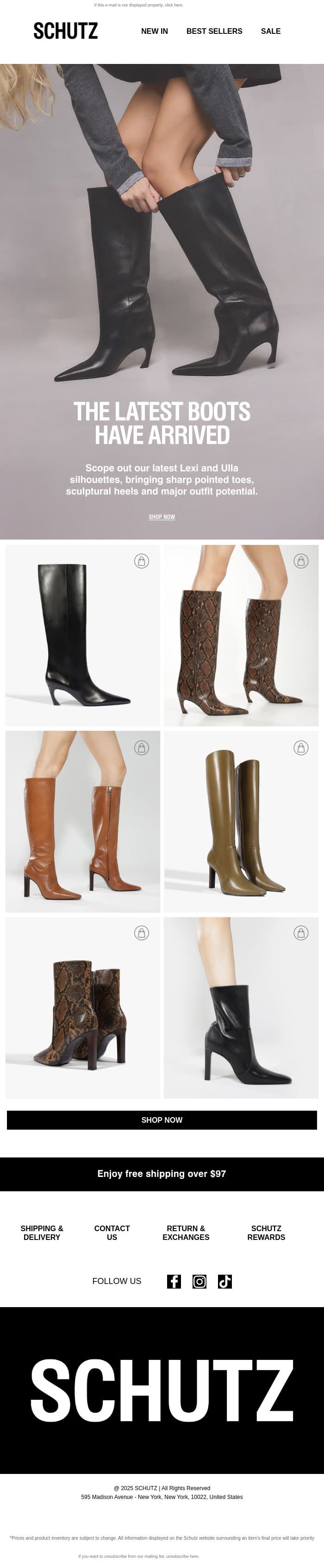 New Boots Are In email from Schutz screenshot