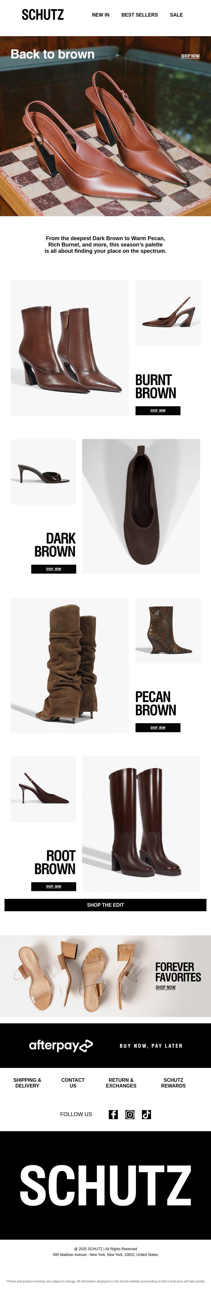 Fall Looks Better in Brown email from Schutz screenshot