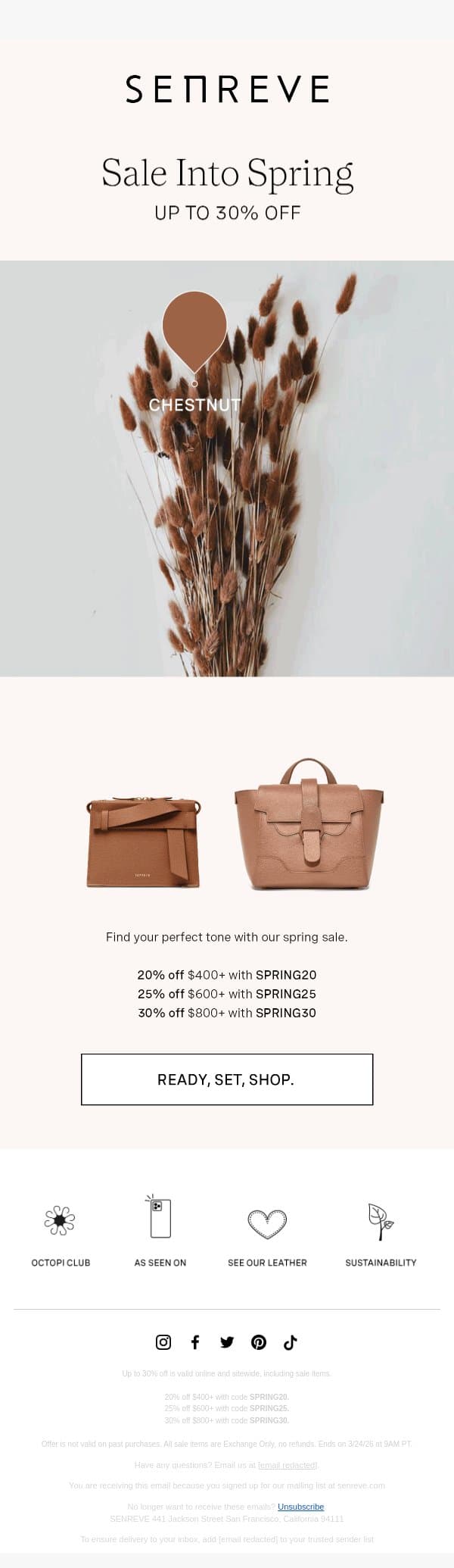Sale Into Spring email from Senreve screenshot