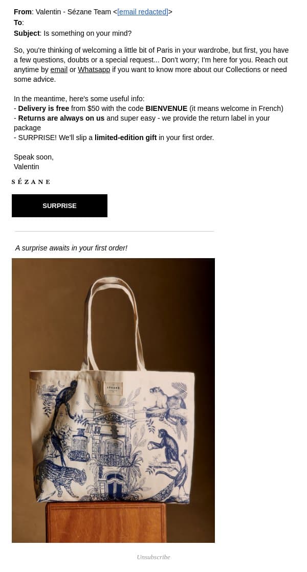Is something on your mind? email from Sezane screenshot