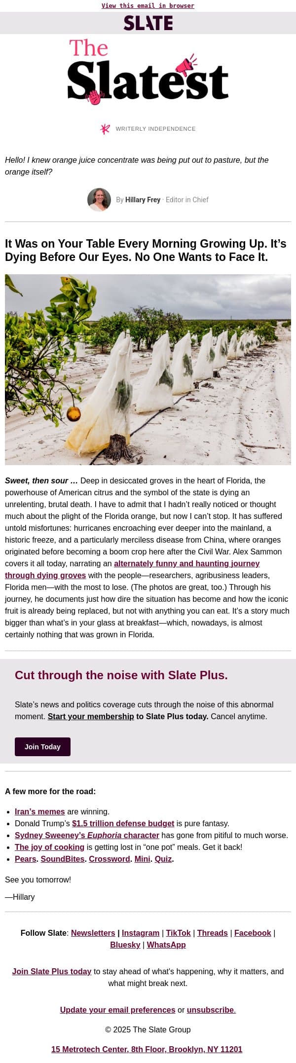 Who killed the Florida orange? email from Slate screenshot