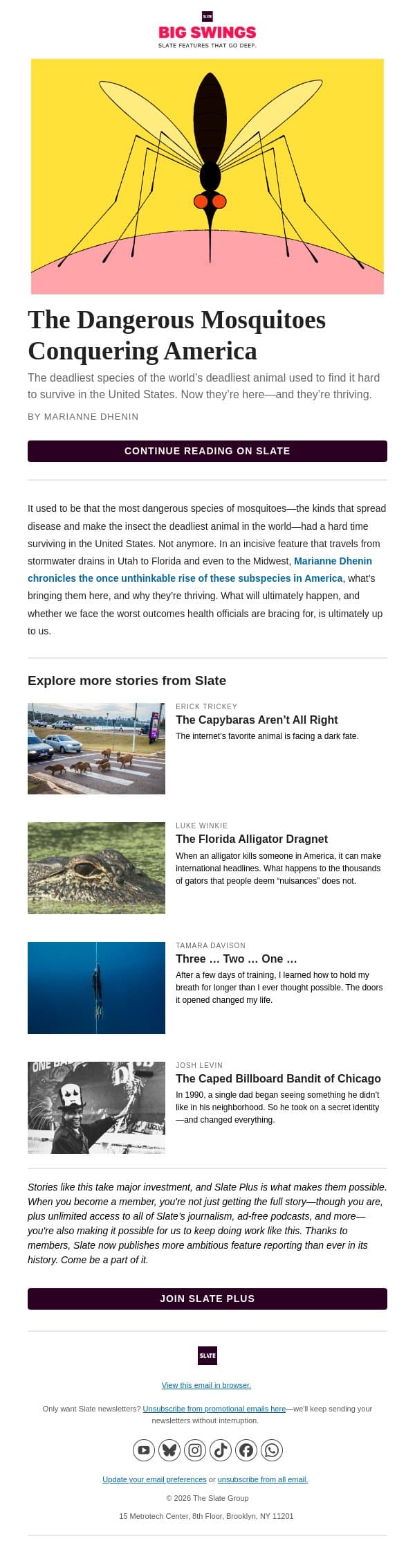 The dangerous mosquitoes conquering America email from Slate screenshot