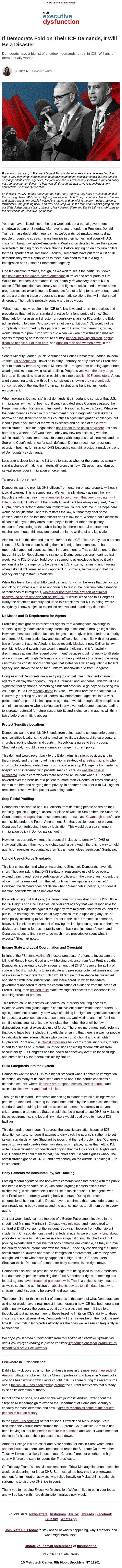 Democrats folding on ICE would be a disaster email from Slate screenshot