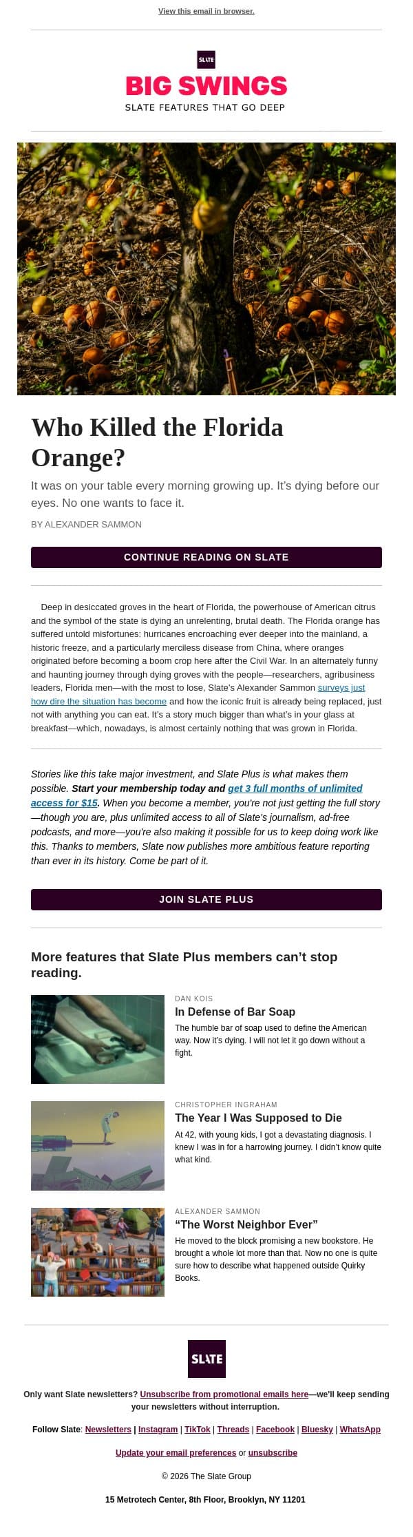 The Florida orange is dying email from Slate screenshot