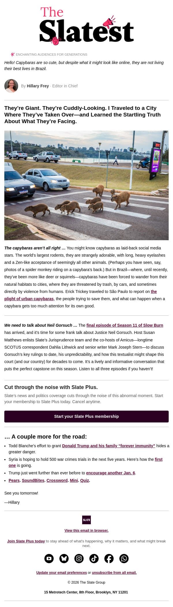 The internet’s favorite animal is facing a dark fate email from Slate screenshot