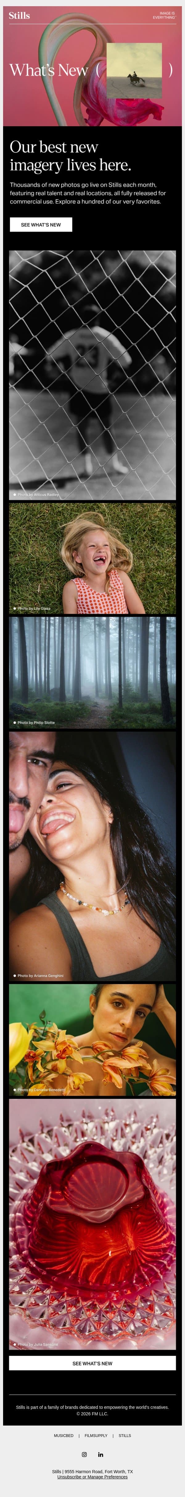 NEW for February: Stills' best new images email from Stills screenshot