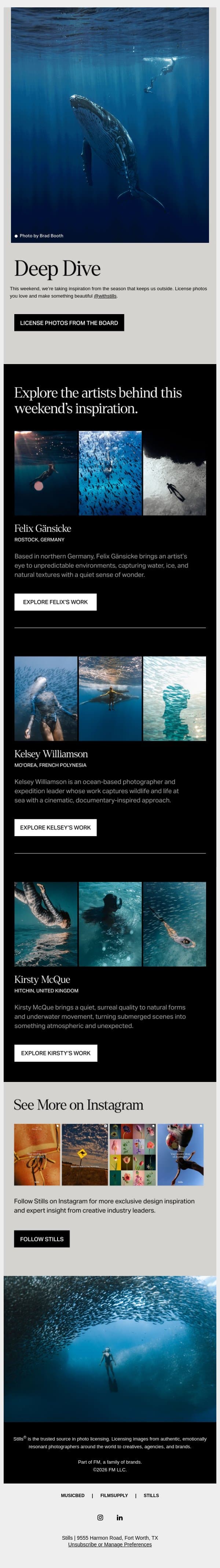 weekend inspo: deep dive email from Stills screenshot