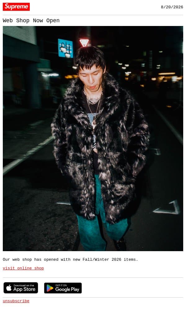 Web Shop Now Open email from Supreme screenshot