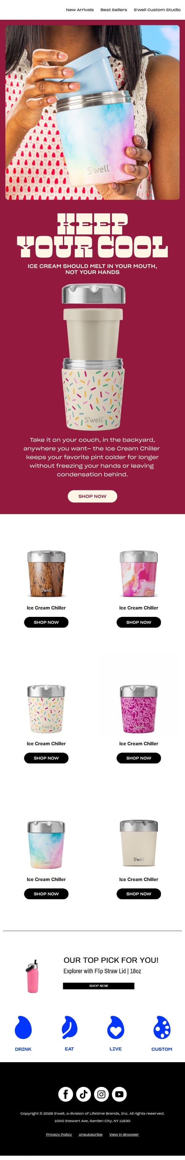 Savor Summer Longer With The Ice Cream Chiller email from S'well screenshot