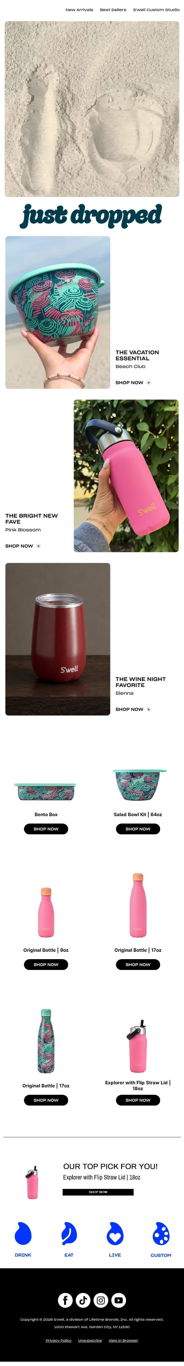 Have You Seen New S'wells Yet? email from S'well screenshot