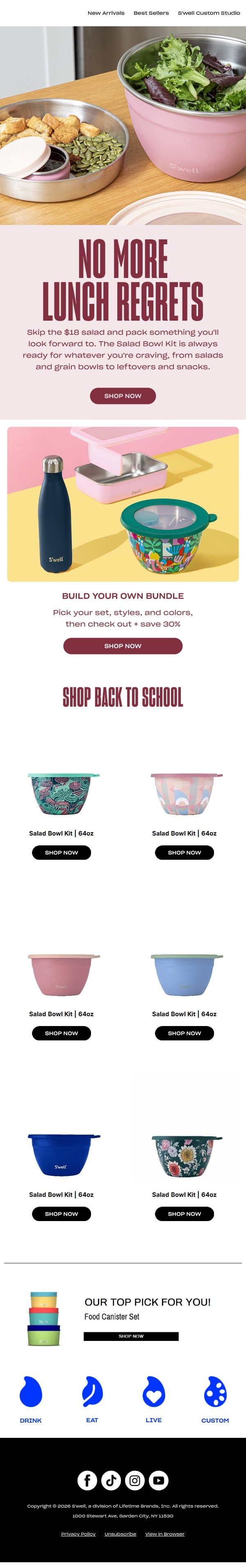 The Salad Bowl Kit Makes Lunch Worth Packing email from S'well screenshot