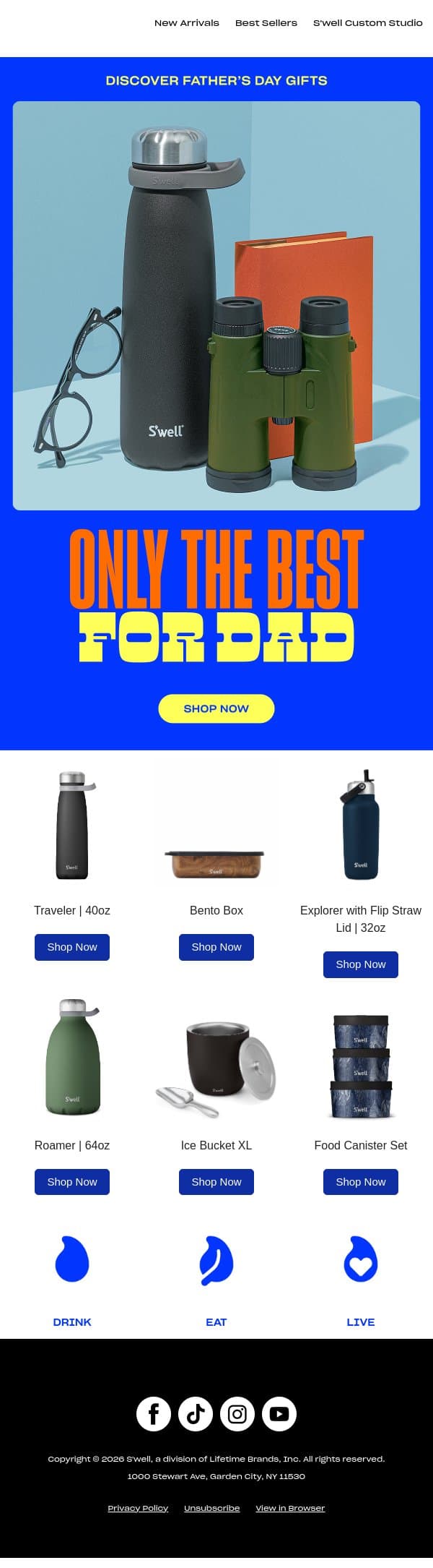 Father's Day Gifts He'll Actually Use email from S'well screenshot