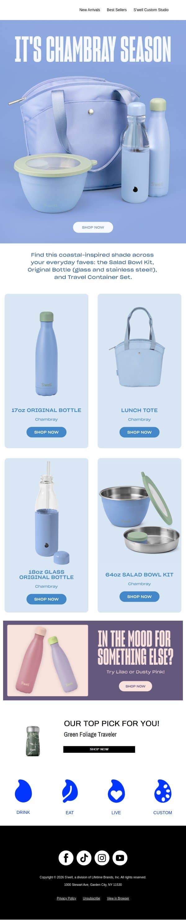 This Color Goes With Everything email from S'well screenshot
