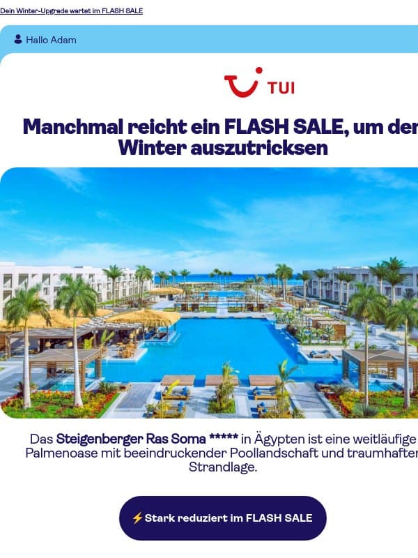 Gerade sind bis zu 48 %¹ Rabatt in deinem Postfach gelandet email from TUI