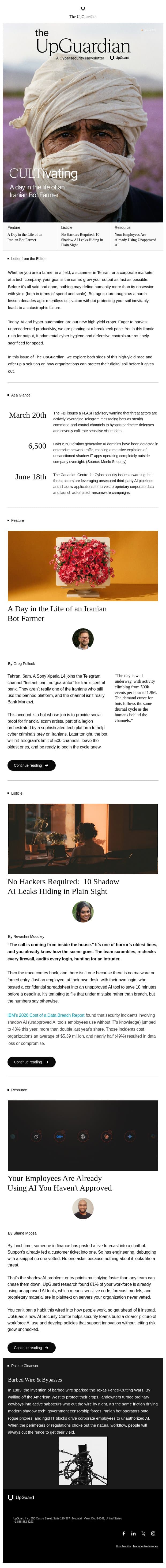 The obsession with yield and what it's costing your security. email from UpGuard screenshot
