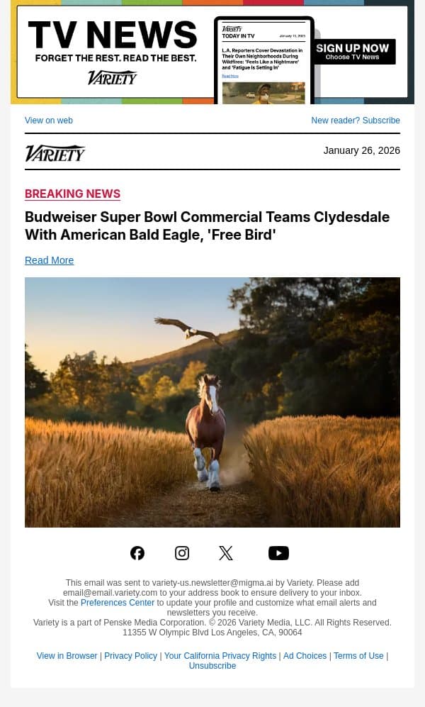 Budweiser Super Bowl Commercial Teams Clydesdale With American Bald Eagle, 'Free Bird' email from Variety screenshot