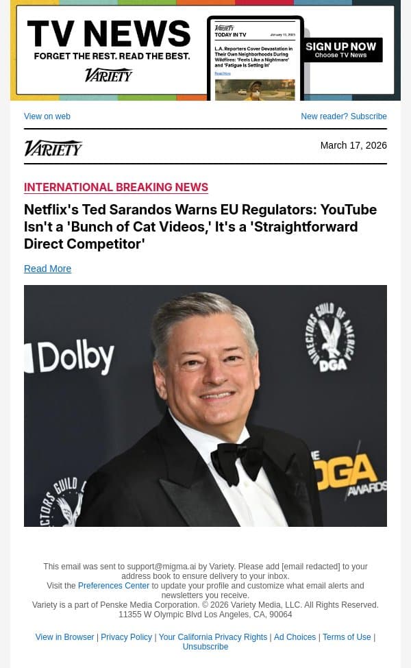 Netflix's Ted Sarandos Warns EU Regulators: YouTube Isn't a 'Bunch of Cat Videos,' It's a 'Straightforward Direct Competitor' email from Variety screenshot