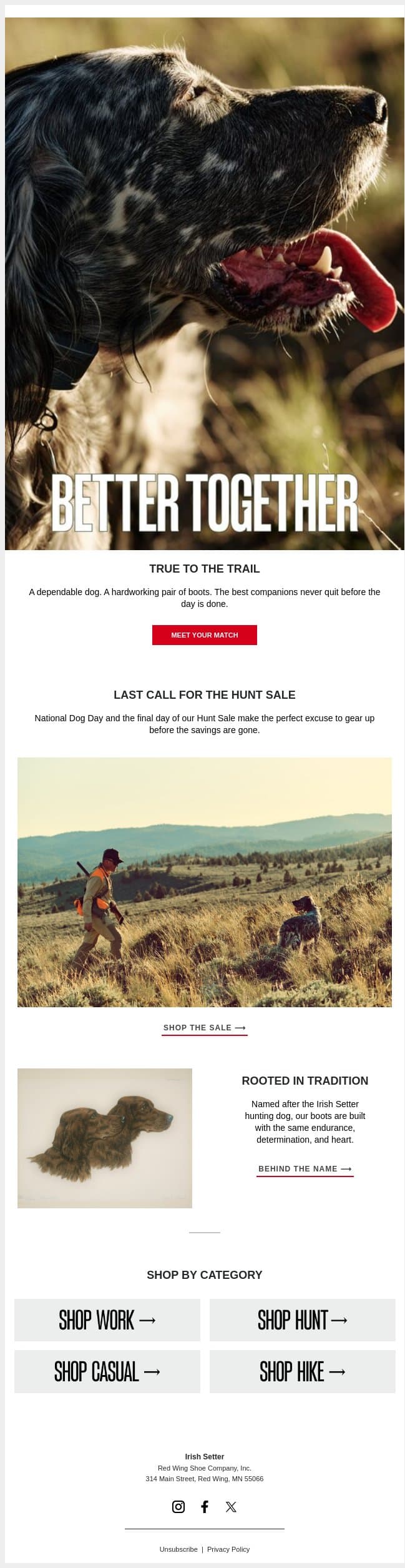 National Dog Day Starts Here 🐾 email from Vasque screenshot