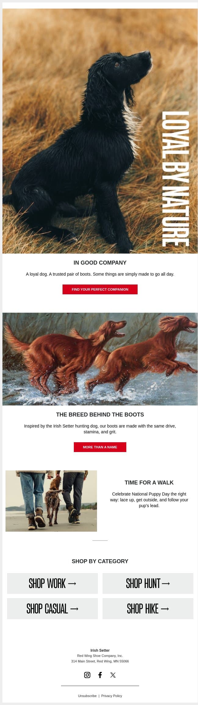 For the Love of Dogs 🐾 email from Vasque screenshot