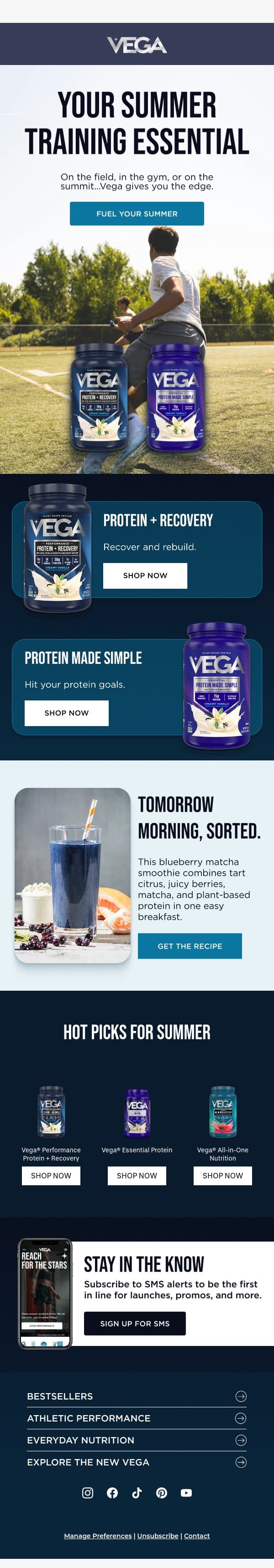 Blueberries. Ice. Vega. Go. email from Vega screenshot
