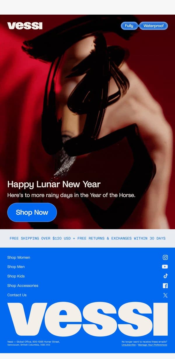 💧Happy Lunar New Year email from Vessi screenshot