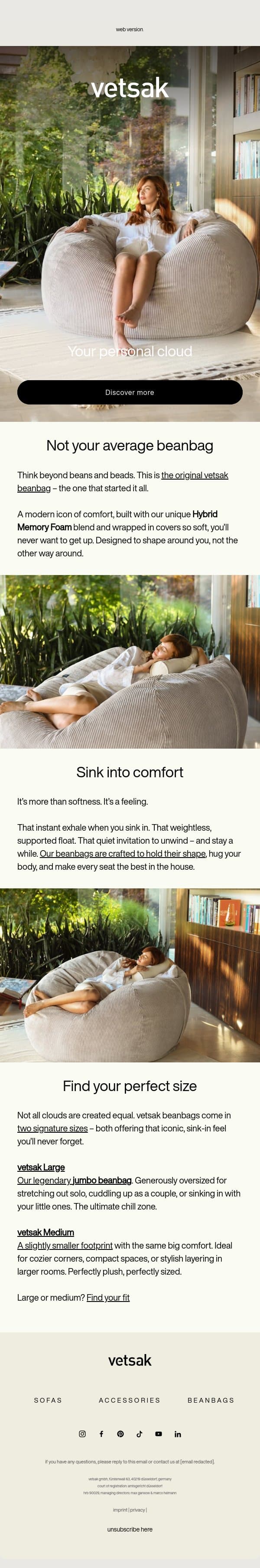 Meet the beanbag that started it all email from Vetsak screenshot