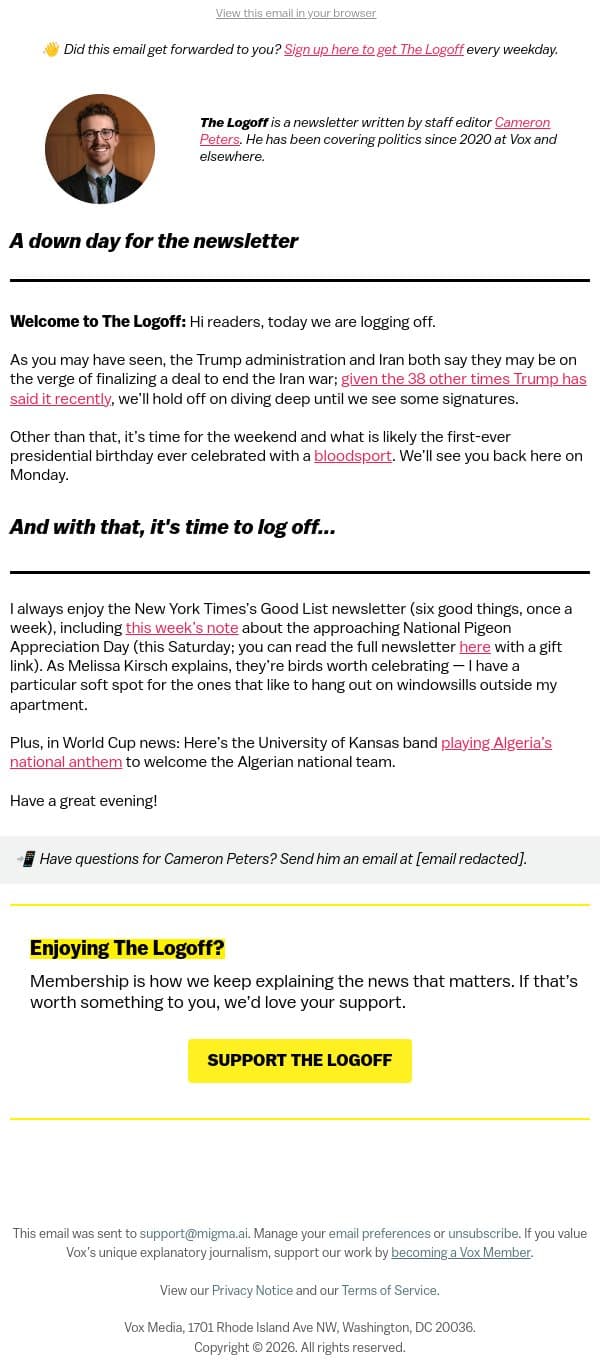 Log off and appreciate some pigeons email from Vox screenshot