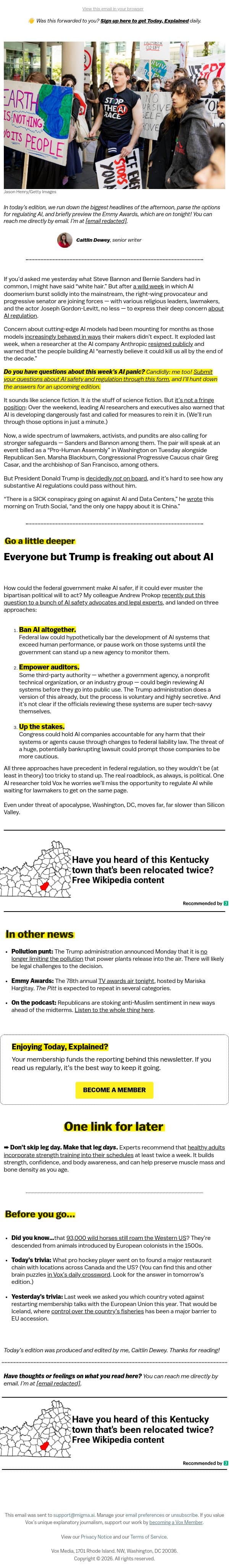 What an AI "slowdown" could look like email from Vox screenshot