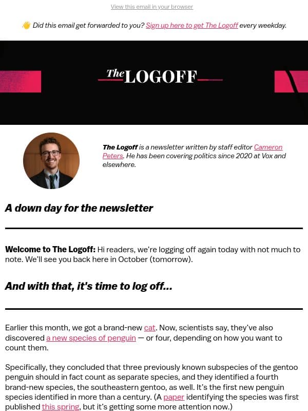 A new penguin before you log off email from Vox