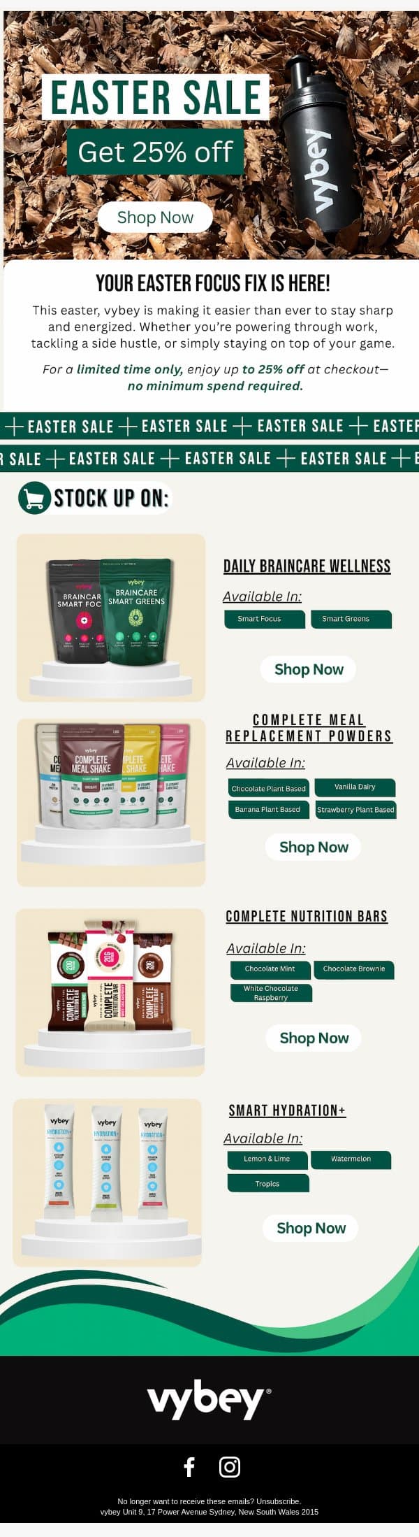 Easter SALE LIVE: 25% Off Your Brain-Boosting Essentials! 🌿📚 email from vybey screenshot
