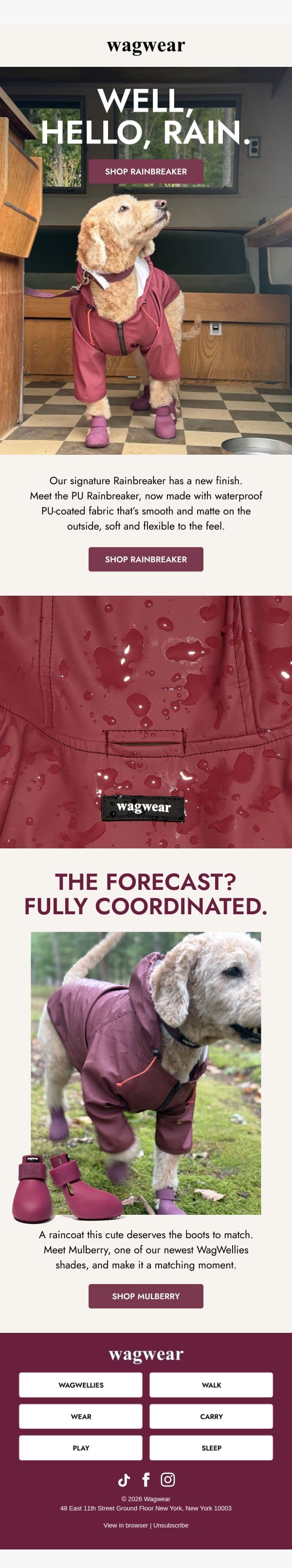 Meet the new PU Rainbreaker 🌧️ email from Wagwear screenshot