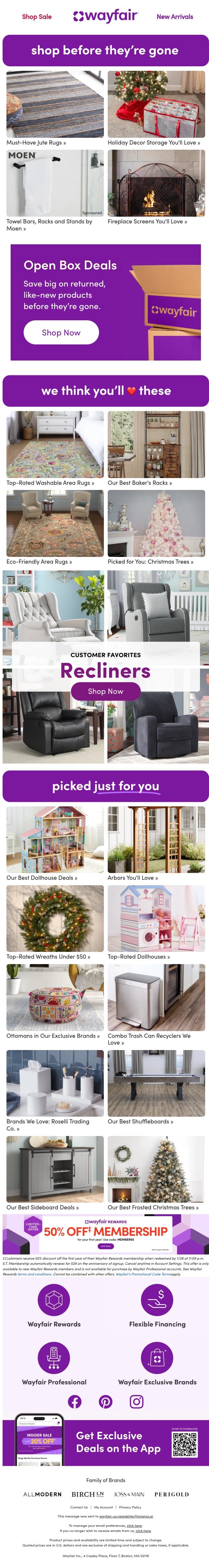 JUTE RUGS are heeere! email from Wayfair screenshot